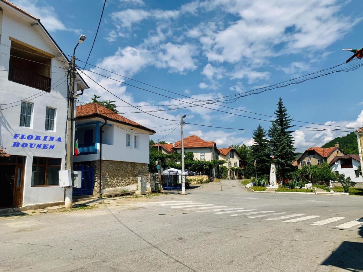 Цяла Ваканционна Къща- Florina Houses Goranovtsi Zewnętrze zdjęcie